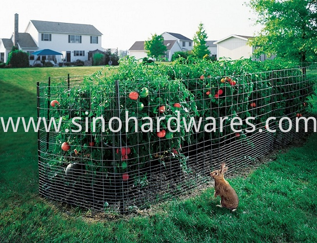 welded wire mesh pet fence